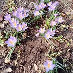 Lesna Osada Homestay szállás