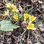 Lesna Osada * Tuchlin (Warmian-Masurian)