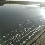 Homestay szállás Lesna Osada