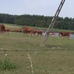 Lesna Osada Homestay szállás *