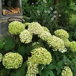 Lesna Osada * Tuchlin (Warmian-Masurian)