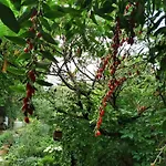 Lesna Osada Homestay szállás *