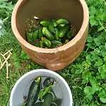 Lesna Osada * Tuchlin (Warmian-Masurian)