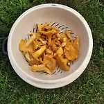 Homestay szállás Lesna Osada *