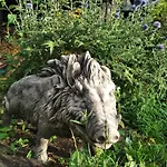 Lesna Osada * Tuchlin (Warmian-Masurian)