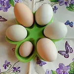 Lesna Osada * Tuchlin (Warmian-Masurian)