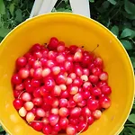 Lesna Osada Tuchlin (Warmian-Masurian)