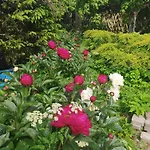 Lesna Osada Tuchlin (Warmian-Masurian)