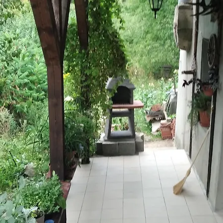Leśna Osada *