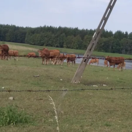 Lesna Osada Rum i privatbostad *