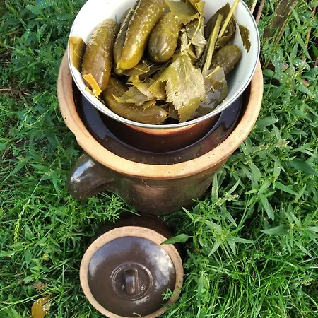 Leśna Osada Kwatera prywatna