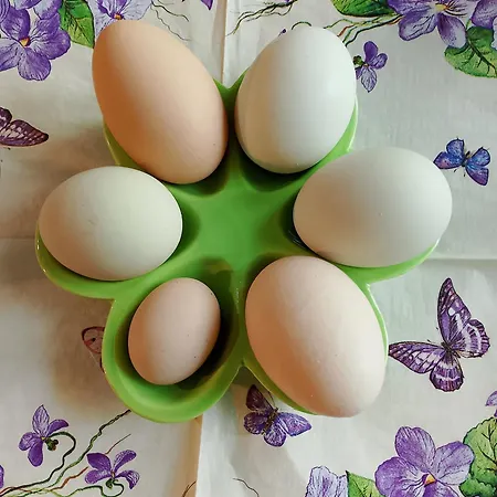 Lesna Osada * Tuchlin (Warmian-Masurian)