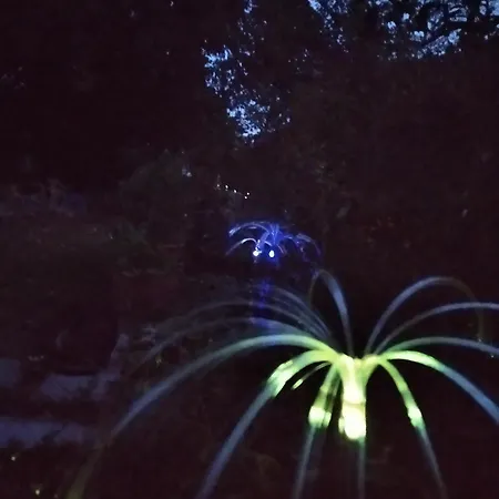 Lesna Osada * Tuchlin (Warmian-Masurian)