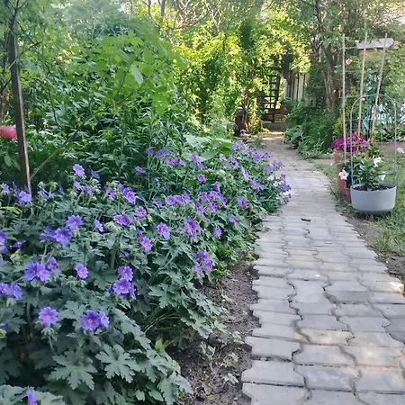 Lesna Osada Проживание в семье