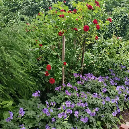 Проживание в семье Lesna Osada