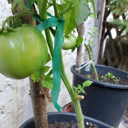 Lesna Osada Tuchlin (Warmian-Masurian)