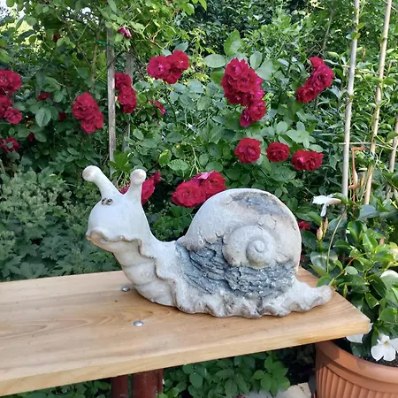 Проживание в семье Lesna Osada Tuchlin (Warmian-Masurian)