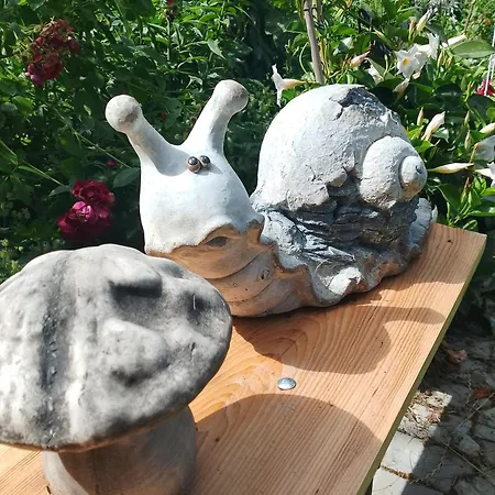 Lesna Osada Проживание в семье *