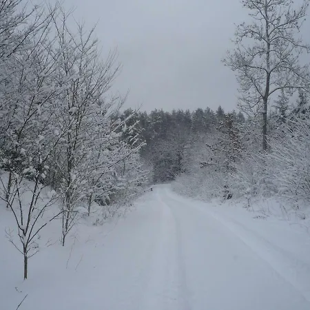 Leśna Osada Kwatera prywatna Tuchlin (Warmian-Masurian)