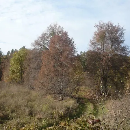 Leśna Osada Kwatera prywatna *