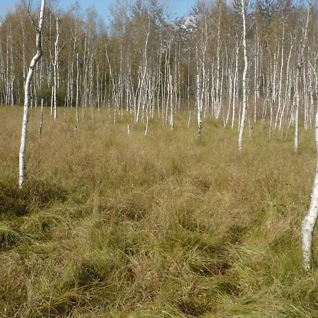 Rum i privatbostad Lesna Osada